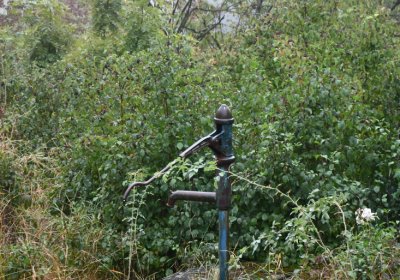 Sutom obecní, Omnium, 2020