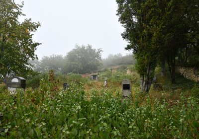 Sutom obecní, Omnium, 2020