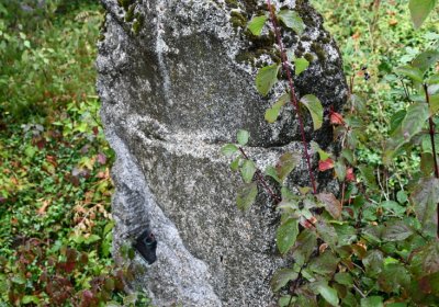 Sutom obecní, Omnium, 2020