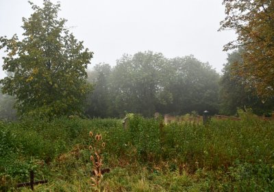 Sutom obecní, Omnium, 2020