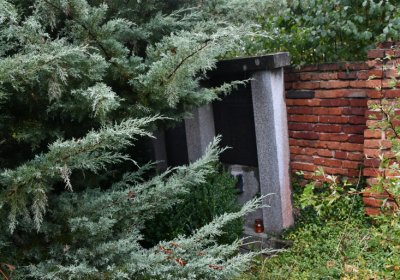 Sutom obecní, Omnium, 2020