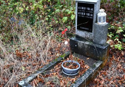 Sutom obecní, Omnium, 2020