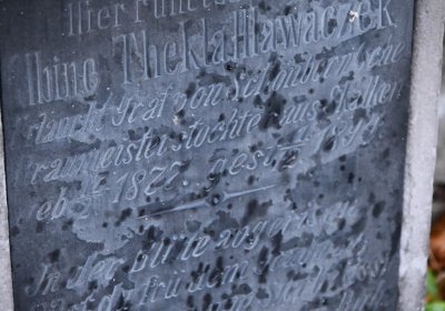 Sutom obecní, Omnium, 2020