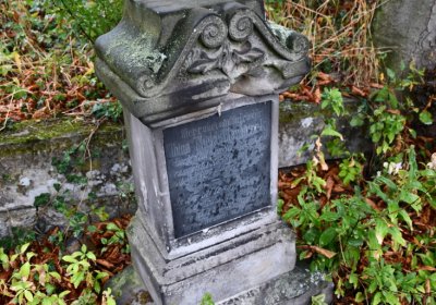 Sutom obecní, Omnium, 2020