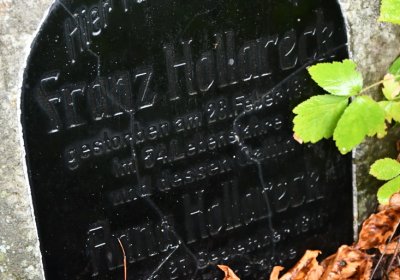 Sutom obecní, Omnium, 2020