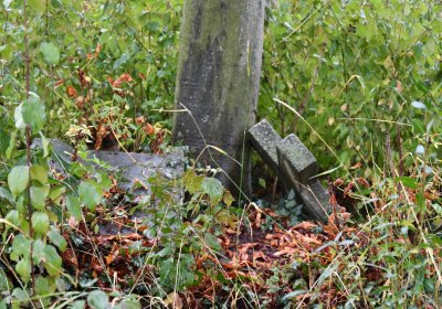 Sutom obecní, Omnium, 2020