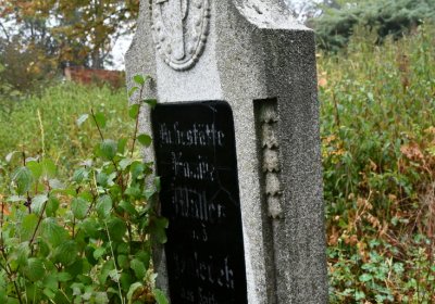 Sutom obecní, Omnium, 2020