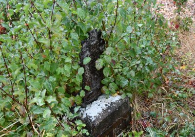 Sutom obecní, Omnium, 2020