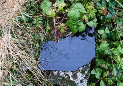 Sutom obecní, Omnium, 2020