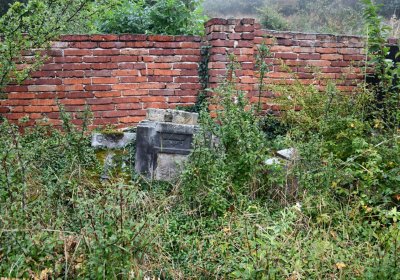 Sutom obecní, Omnium, 2020