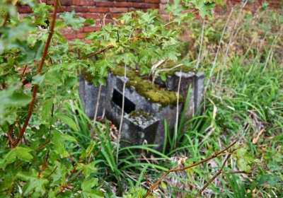 Sutom obecní, Omnium, 2020