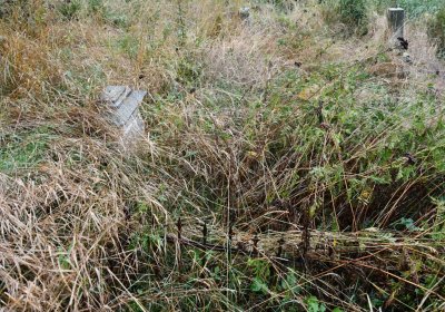 Sutom obecní, Omnium, 2020