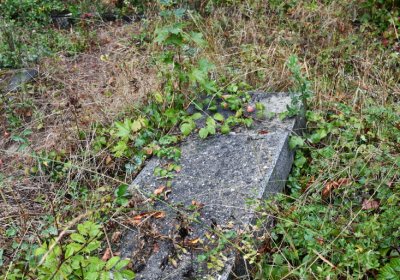 Sutom obecní, Omnium, 2020