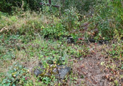 Sutom obecní, Omnium, 2020