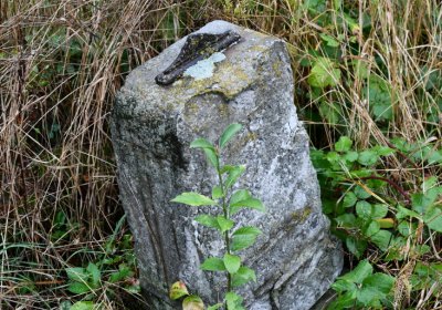 Sutom obecní, Omnium, 2020