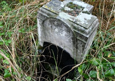 Sutom obecní, Omnium, 2020