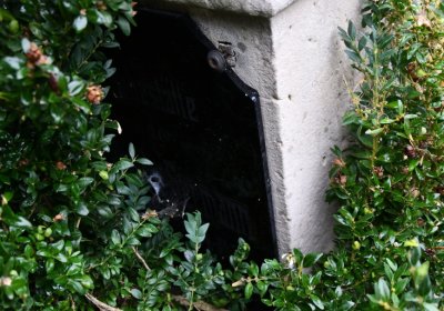 Sutom obecní, Omnium, 2020