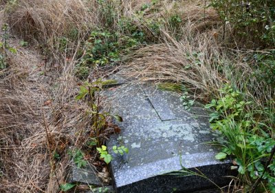 Sutom obecní, Omnium, 2020