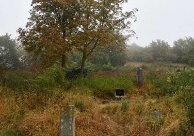 Sutom obecní, Omnium, 2020