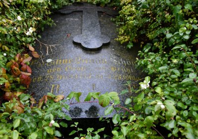 Sutom obecní, Omnium, 2020