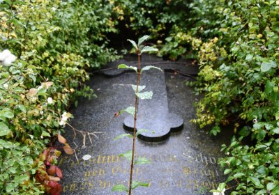 Sutom obecní, Omnium, 2020