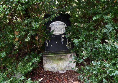 Sutom obecní, Omnium, 2020