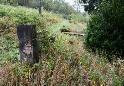 Sutom obecní, Omnium, 2020