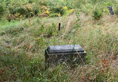 Sutom obecní, Omnium, 2020