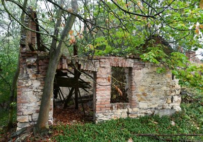 Sutom obecní, Omnium, 2020