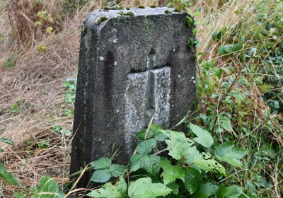 Sutom obecní, Omnium, 2020