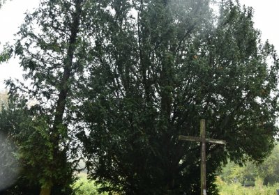 Sutom obecní, Omnium, 2020