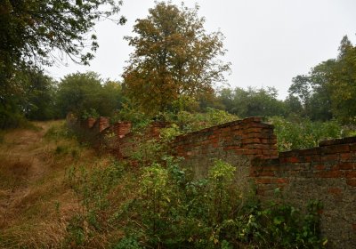 Sutom obecní, Omnium, 2020