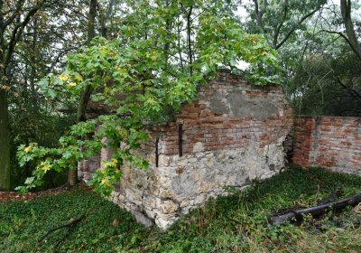 Sutom obecní, Omnium, 2020