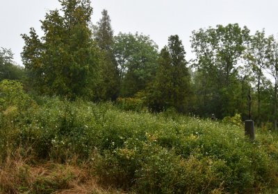 Sutom obecní, Omnium, 2020