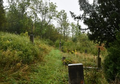 Sutom obecní, Omnium, 2020