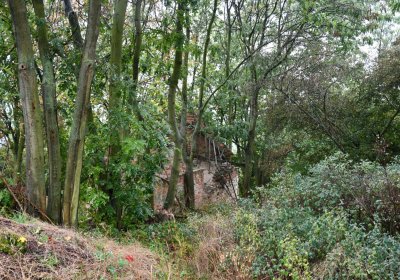 Sutom obecní, Omnium, 2020