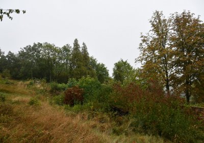 Sutom obecní, Omnium, 2020