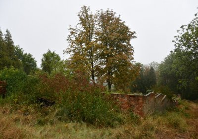 Sutom obecní, Omnium, 2020