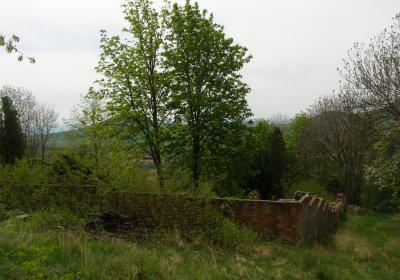 Kmínek Michal, 2020