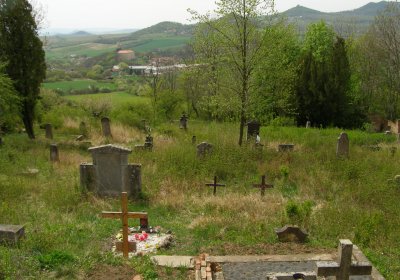 Kmínek Michal, 2020