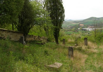 Kmínek Michal, 2020