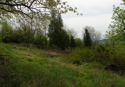 Kmínek Michal, 2020