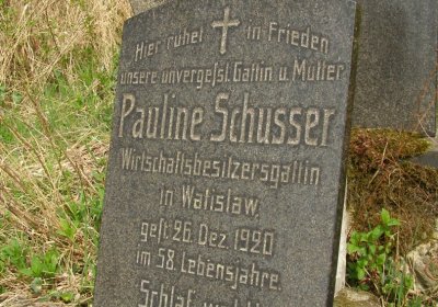 Kmínek Michal, 2020