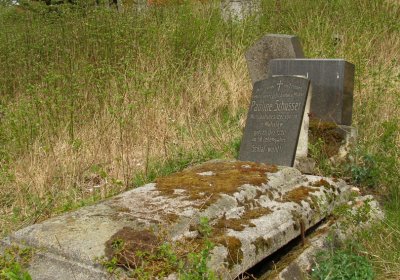 Kmínek Michal, 2020