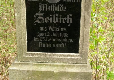 Kmínek Michal, 2020