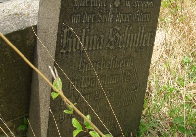 Kmínek Michal, 2020