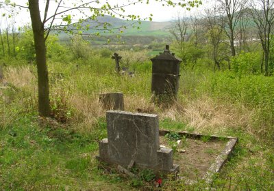 Kmínek Michal, 2020