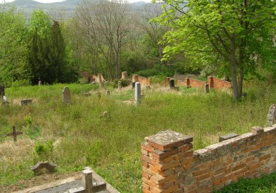 Kmínek Michal, 2020