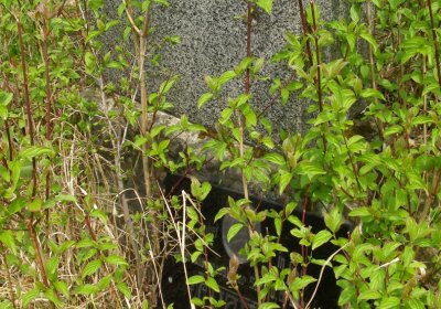 Kmínek Michal, 2020