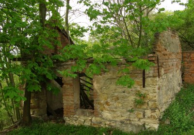 Kmínek Michal, 2020